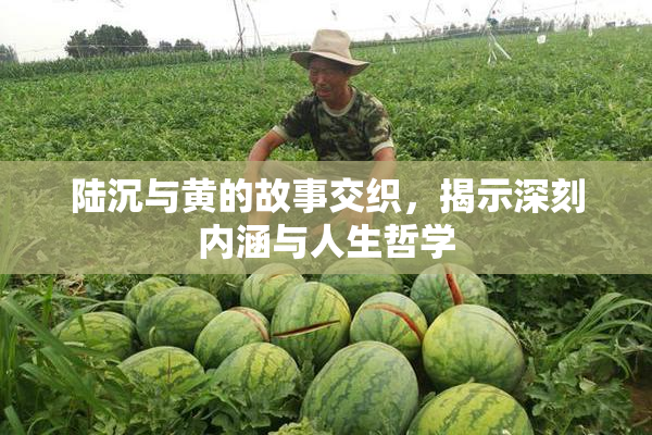 陆沉与黄的故事交织，揭示深刻内涵与人生哲学