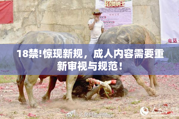 18禁!惊现新规，成人内容需要重新审视与规范！