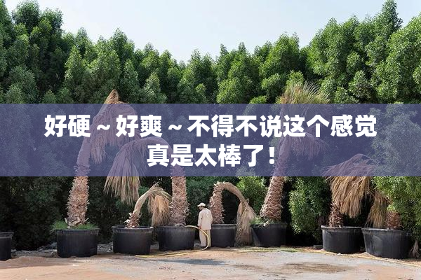 好硬～好爽～不得不说这个感觉真是太棒了！