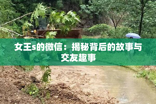 女王s的微信：揭秘背后的故事与交友趣事