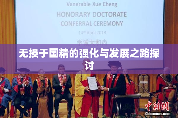 无损于国精的强化与发展之路探讨