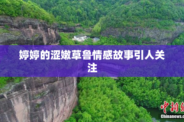 婷婷的涩嫩草鲁情感故事引人关注