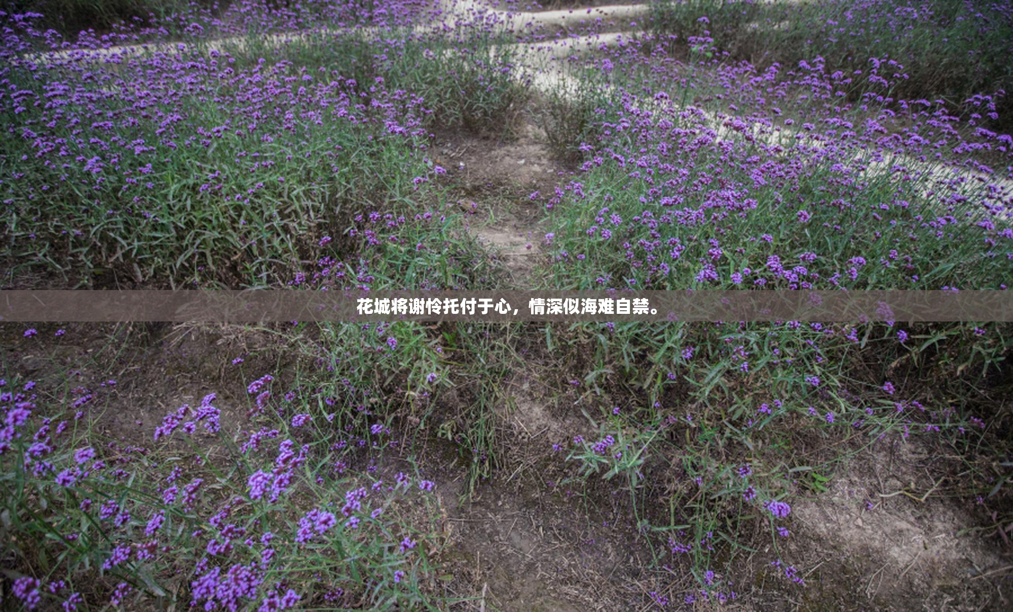 花城将谢怜托付于心，情深似海难自禁。