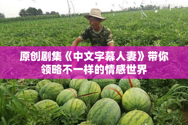 原创剧集《中文字幕人妻》带你领略不一样的情感世界