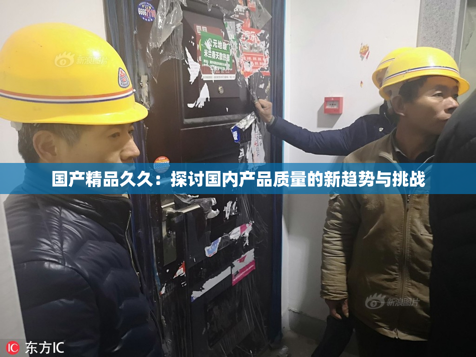 国产精品久久：探讨国内产品质量的新趋势与挑战
