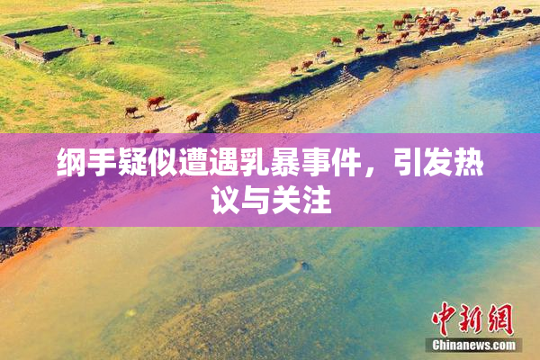 纲手疑似遭遇乳暴事件，引发热议与关注