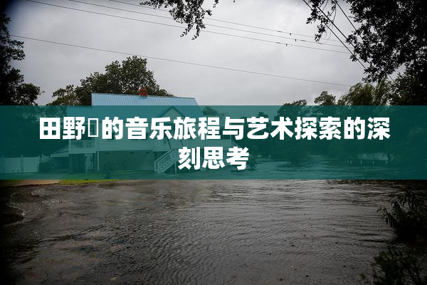 田野憂的音乐旅程与艺术探索的深刻思考