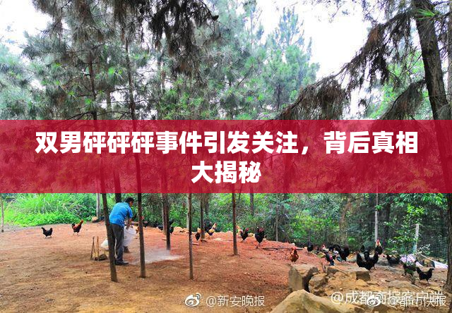 双男砰砰砰事件引发关注，背后真相大揭秘
