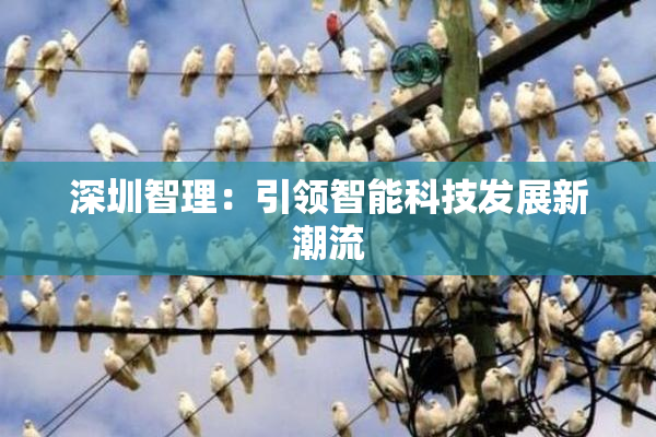 深圳智理：引领智能科技发展新潮流