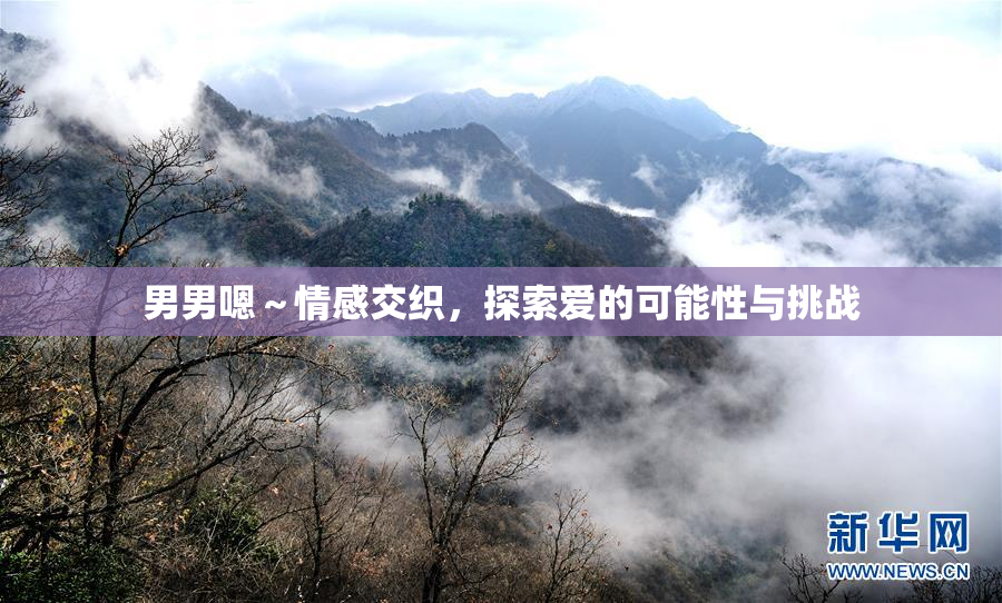 男男嗯～情感交织，探索爱的可能性与挑战