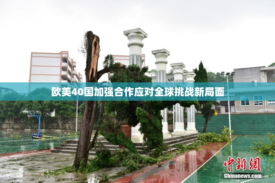 欧美40国加强合作应对全球挑战新局面