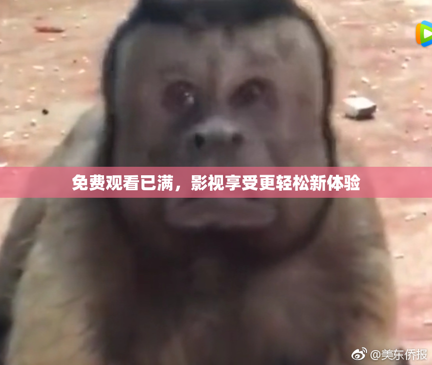 免费观看已满，影视享受更轻松新体验