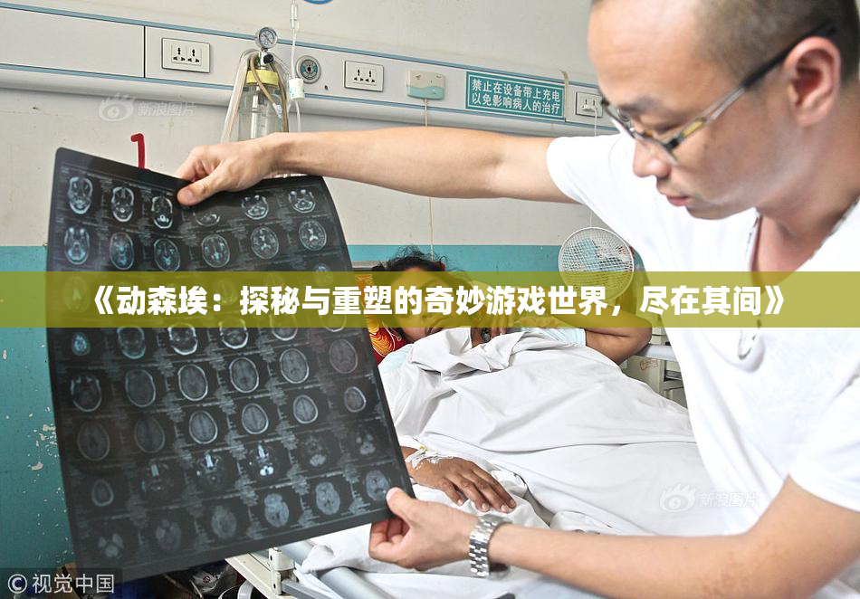 《动森埃：探秘与重塑的奇妙游戏世界，尽在其间》