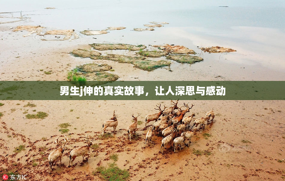 男生j伸的真实故事，让人深思与感动