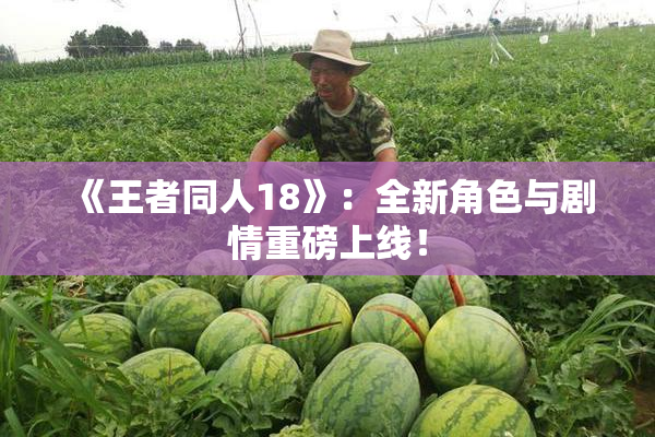 《王者同人18》：全新角色与剧情重磅上线！