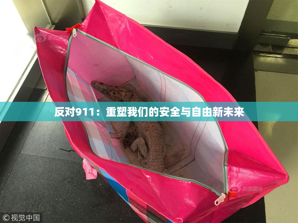 反对911：重塑我们的安全与自由新未来