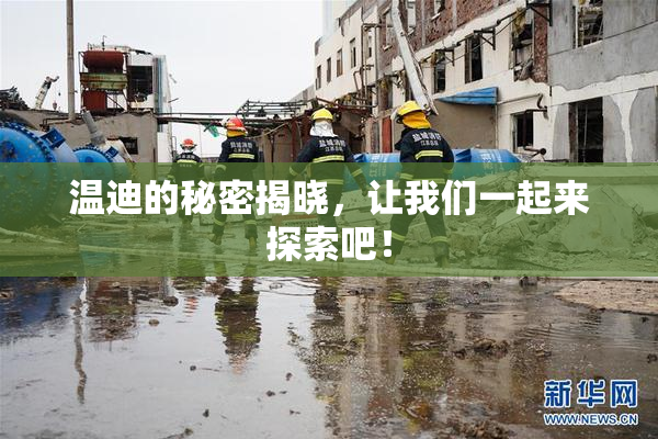 温迪的秘密揭晓，让我们一起来探索吧！