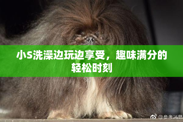 小S洗澡边玩边享受，趣味满分的轻松时刻