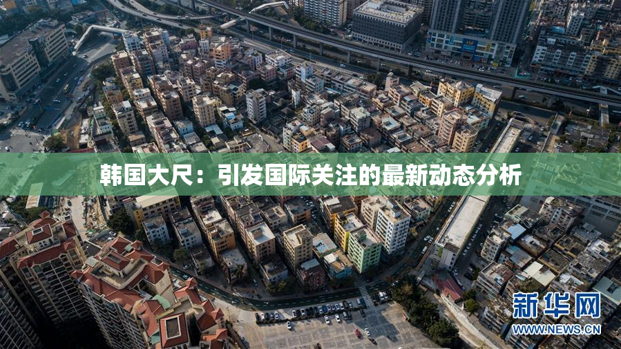 韩国大尺：引发国际关注的最新动态分析