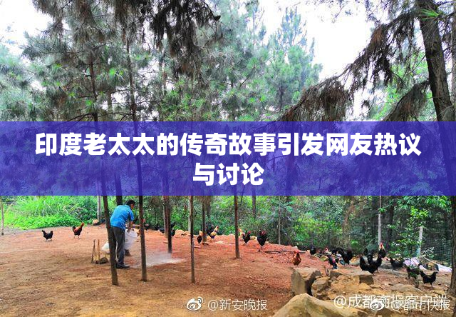印度老太太的传奇故事引发网友热议与讨论