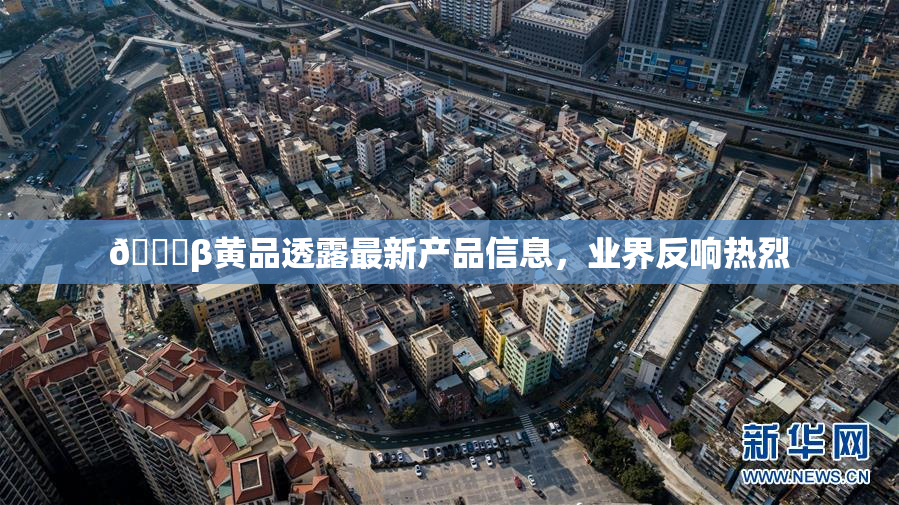 🔞β黄品透露最新产品信息，业界反响热烈