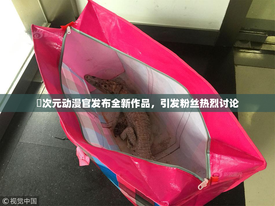 囧次元动漫官发布全新作品，引发粉丝热烈讨论