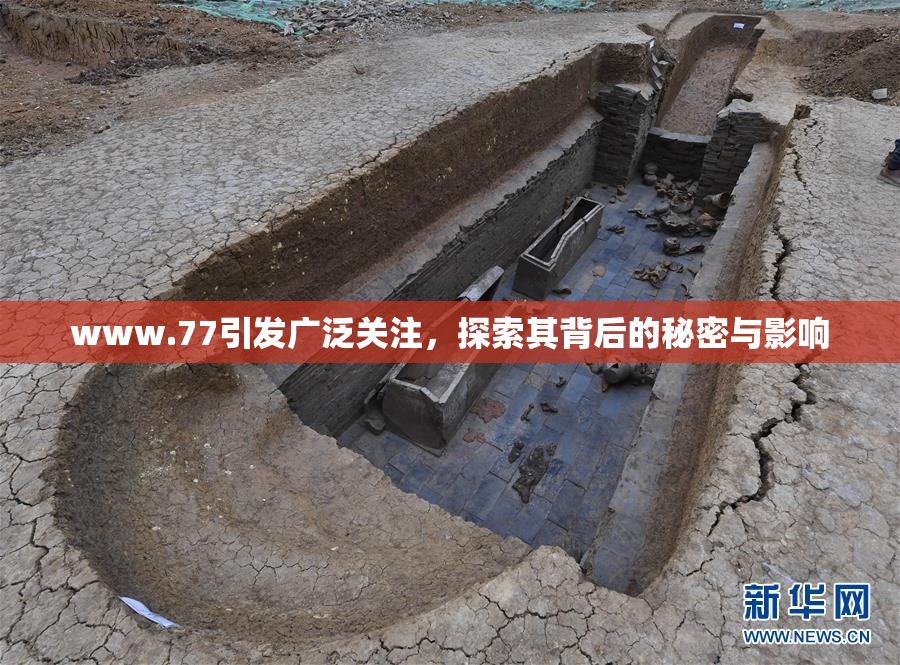 www.77引发广泛关注，探索其背后的秘密与影响