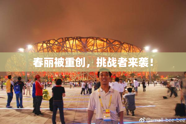 春丽被重创，挑战者来袭！