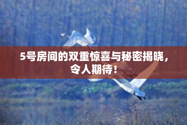 5号房间的双重惊喜与秘密揭晓，令人期待！