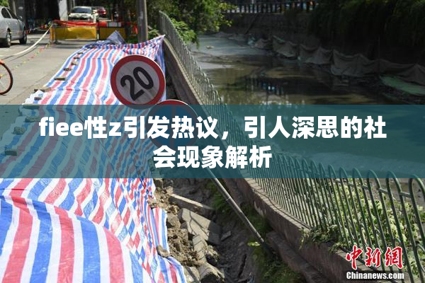 fiee性z引发热议，引人深思的社会现象解析
