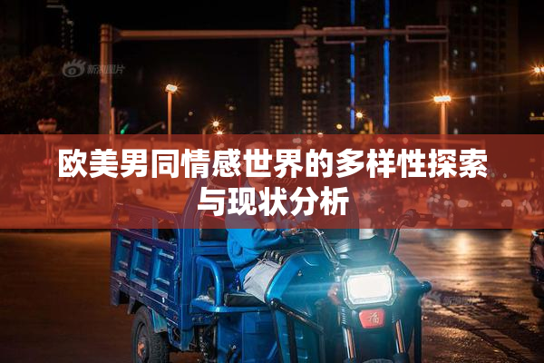 欧美男同情感世界的多样性探索与现状分析