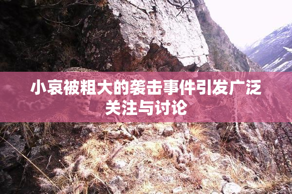 小哀被粗大的袭击事件引发广泛关注与讨论