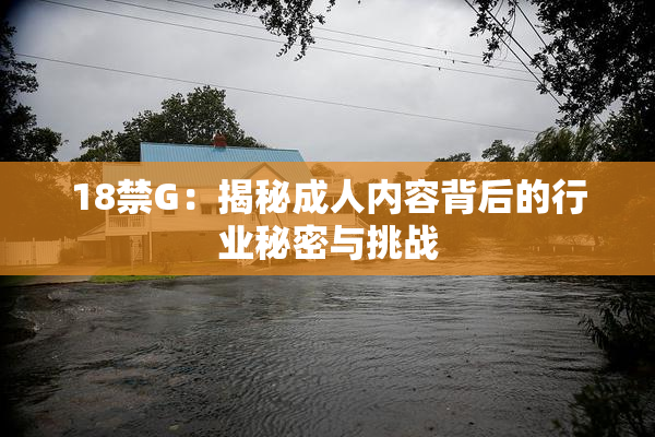 18禁G：揭秘成人内容背后的行业秘密与挑战