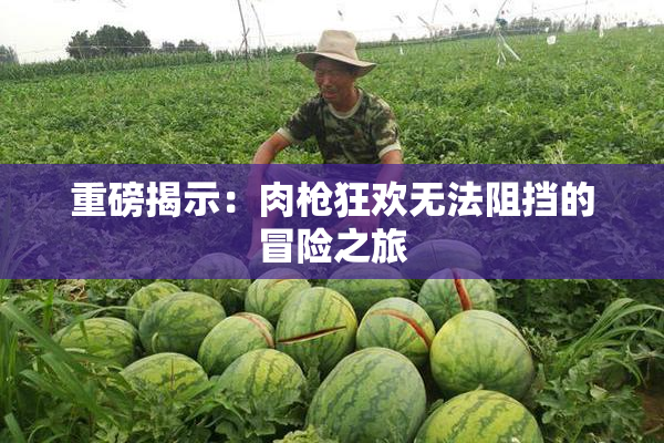 重磅揭示：肉枪狂欢无法阻挡的冒险之旅