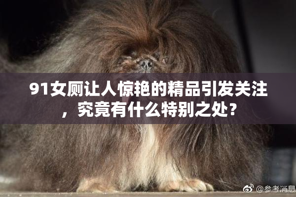 91女厕让人惊艳的精品引发关注，究竟有什么特别之处？