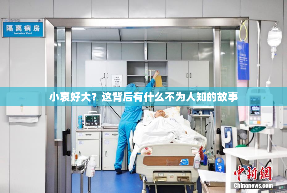 小哀好大？这背后有什么不为人知的故事