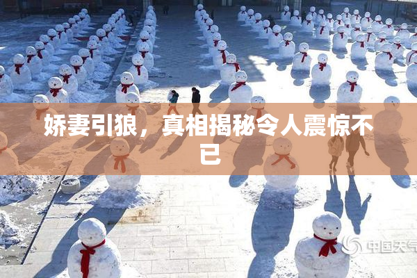 娇妻引狼，真相揭秘令人震惊不已