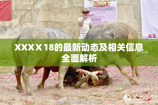 XXXⅩ18的最新动态及相关信息全面解析
