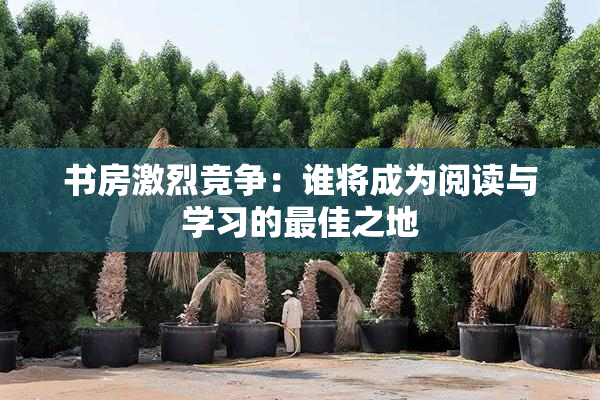 书房激烈竞争：谁将成为阅读与学习的最佳之地