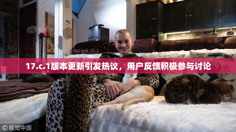 17.c.1版本更新引发热议，用户反馈积极参与讨论
