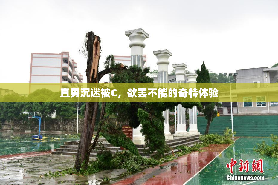 直男沉迷被C，欲罢不能的奇特体验