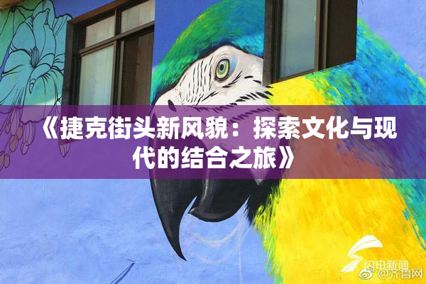 《捷克街头新风貌：探索文化与现代的结合之旅》