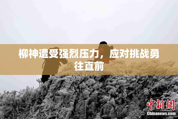 柳神遭受强烈压力，应对挑战勇往直前