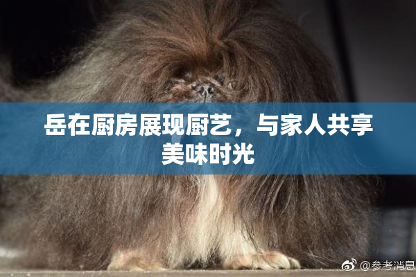 岳在厨房展现厨艺，与家人共享美味时光