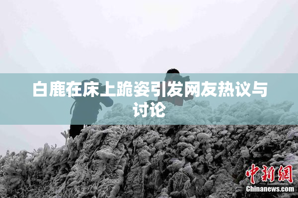 白鹿在床上跪姿引发网友热议与讨论