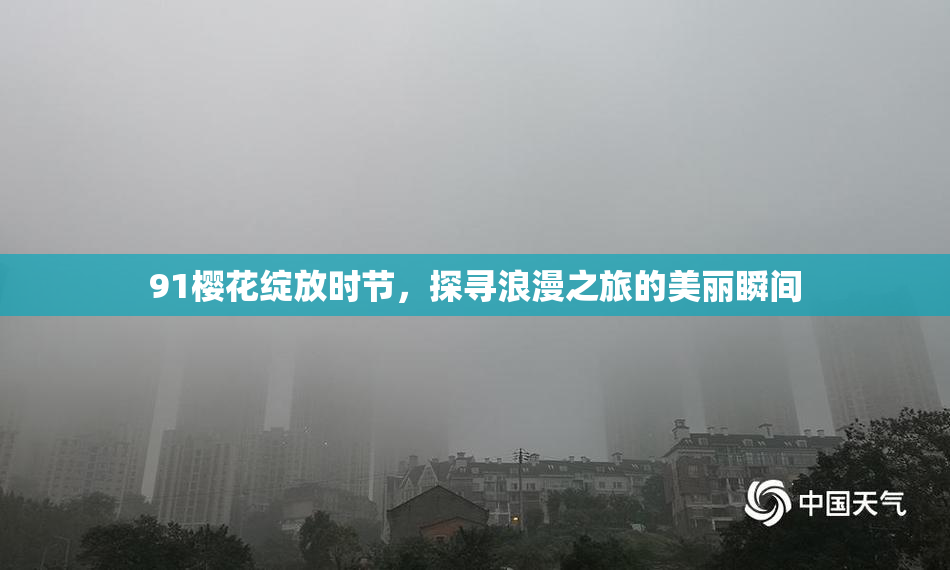 91樱花绽放时节，探寻浪漫之旅的美丽瞬间