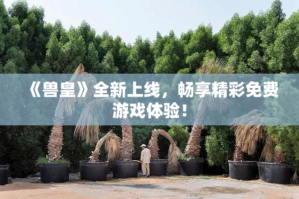 《兽皇》全新上线，畅享精彩免费游戏体验！