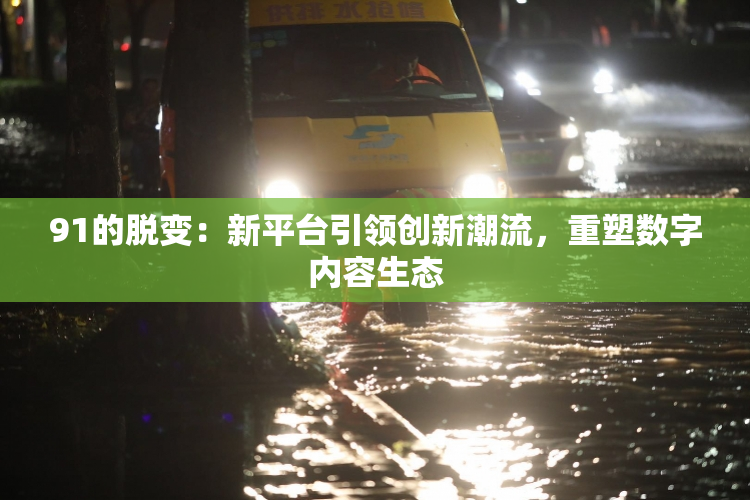 91的脱变：新平台引领创新潮流，重塑数字内容生态