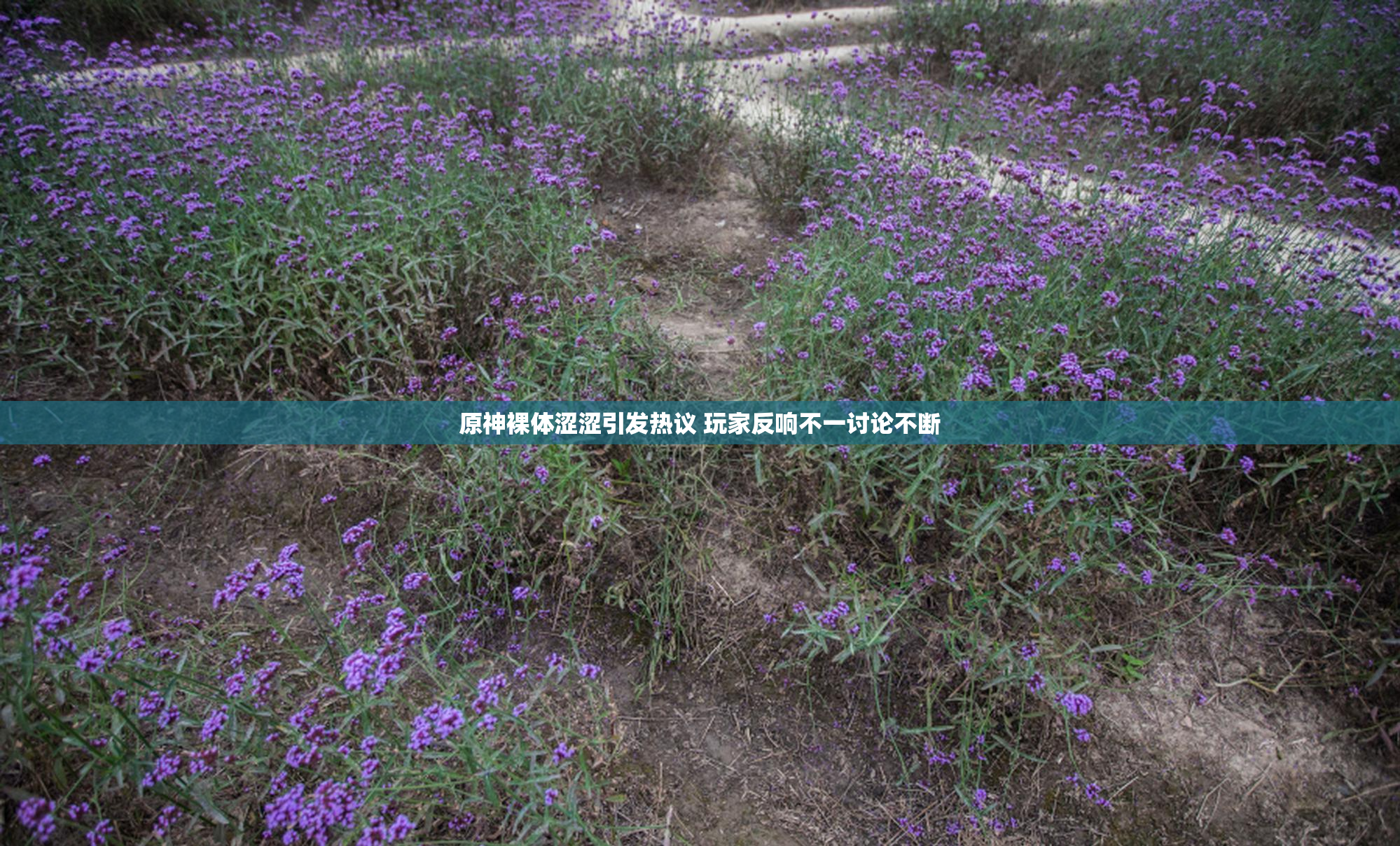 原神裸体涩涩引发热议 玩家反响不一讨论不断