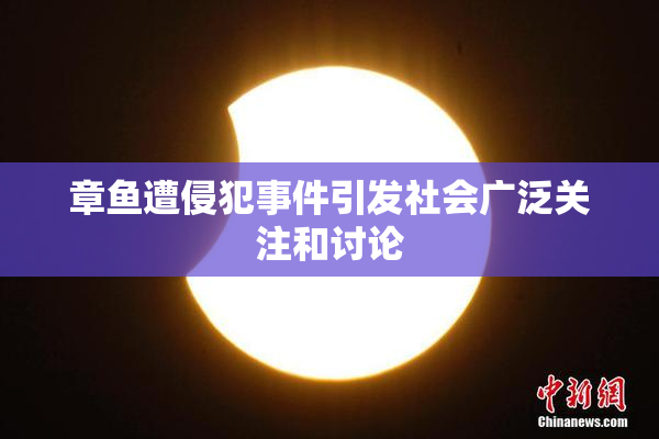 章鱼遭侵犯事件引发社会广泛关注和讨论